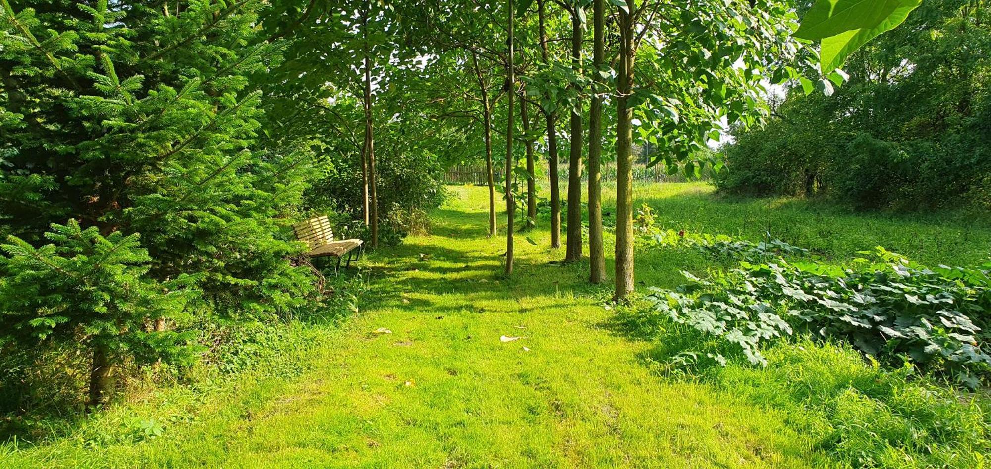 Gartenhaus Schlanstedt Huy Kültér fotó