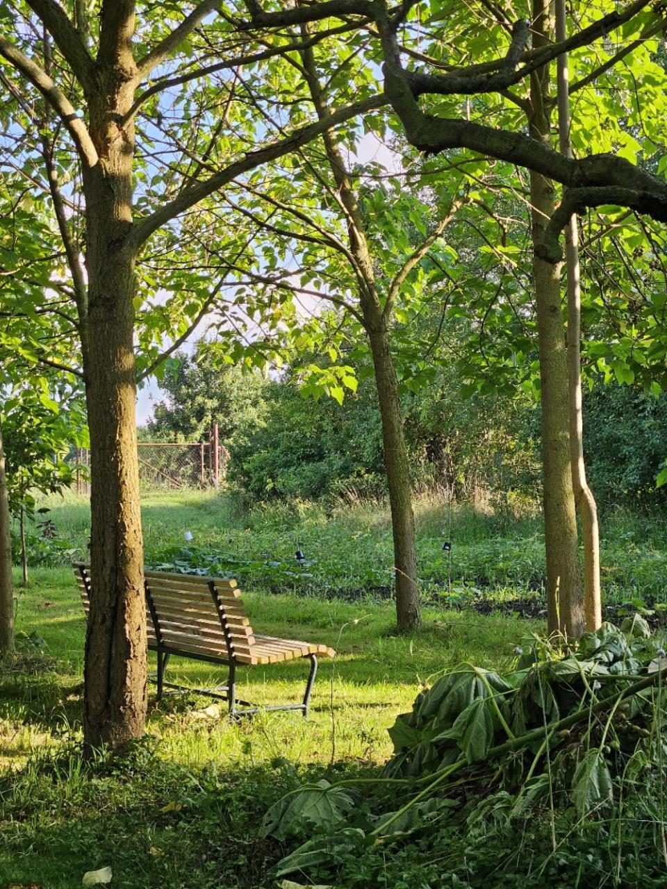 Gartenhaus Schlanstedt Huy Kültér fotó
